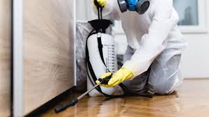 Emergency Pest Control in Canfield, OH